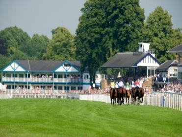 Timeform analyse the in-running angles from Windsor